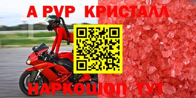 гашик Можга