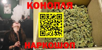 гашик Можга