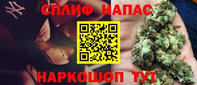 гашик Можга
