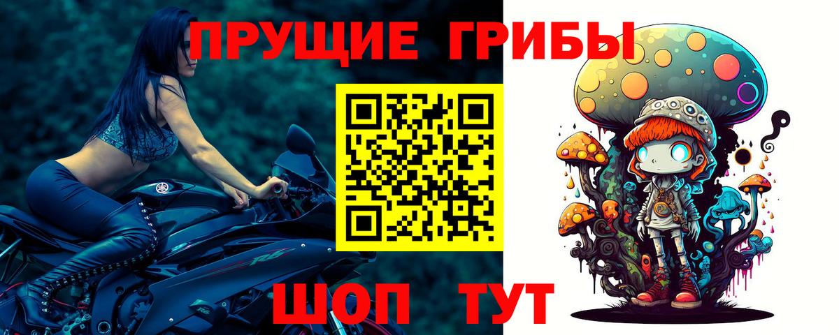 Курганинск  Псилоцибиновые грибы мицелий  Вход с VPN 