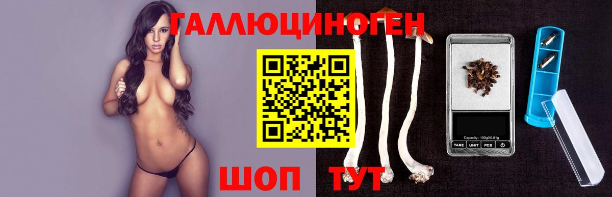 Псилоцибиновые грибы мицелий Курганинск